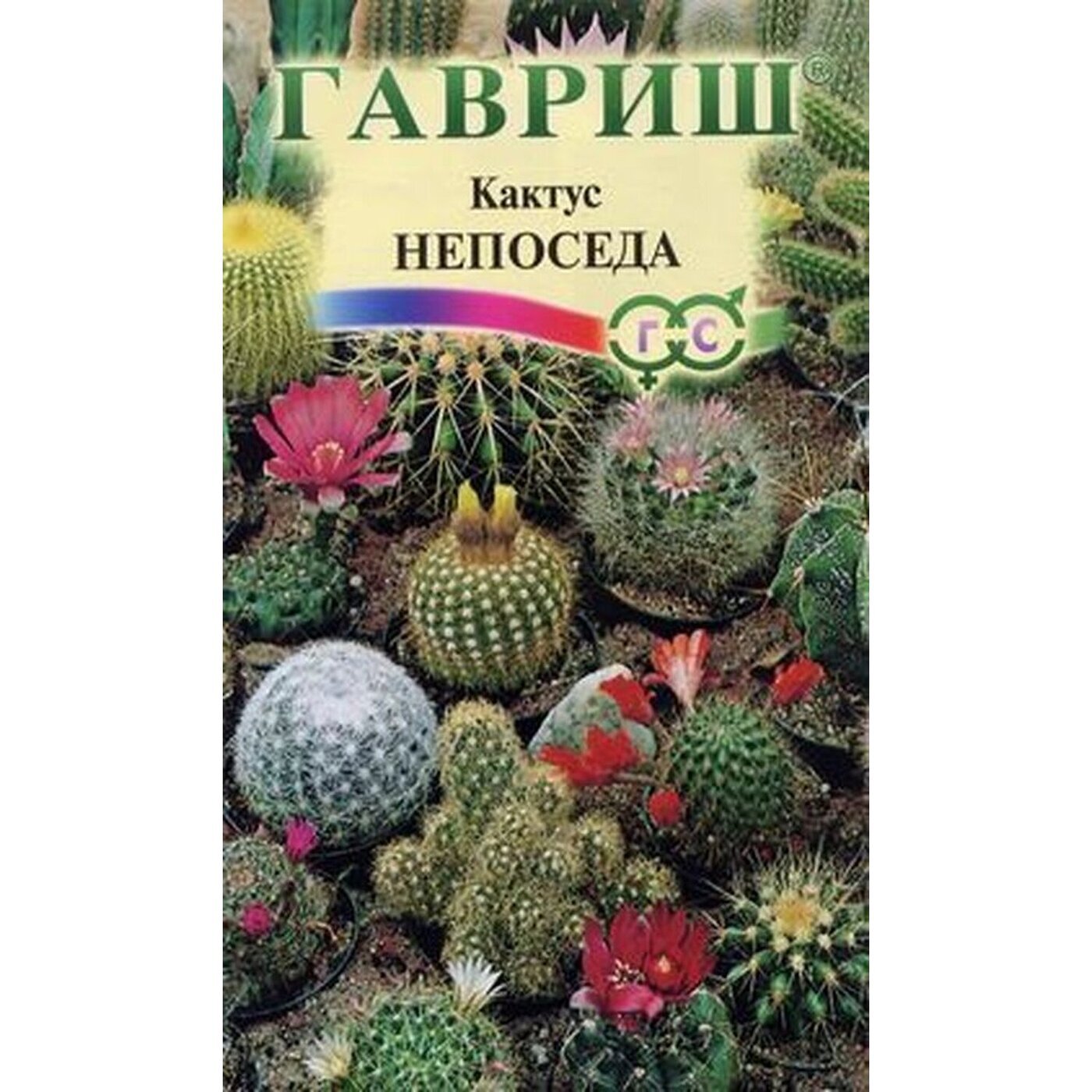 Кактусы Семена Магазин