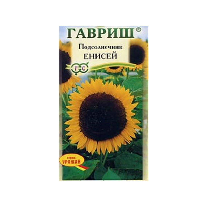 Семена Подсолнечника Енисей Купить