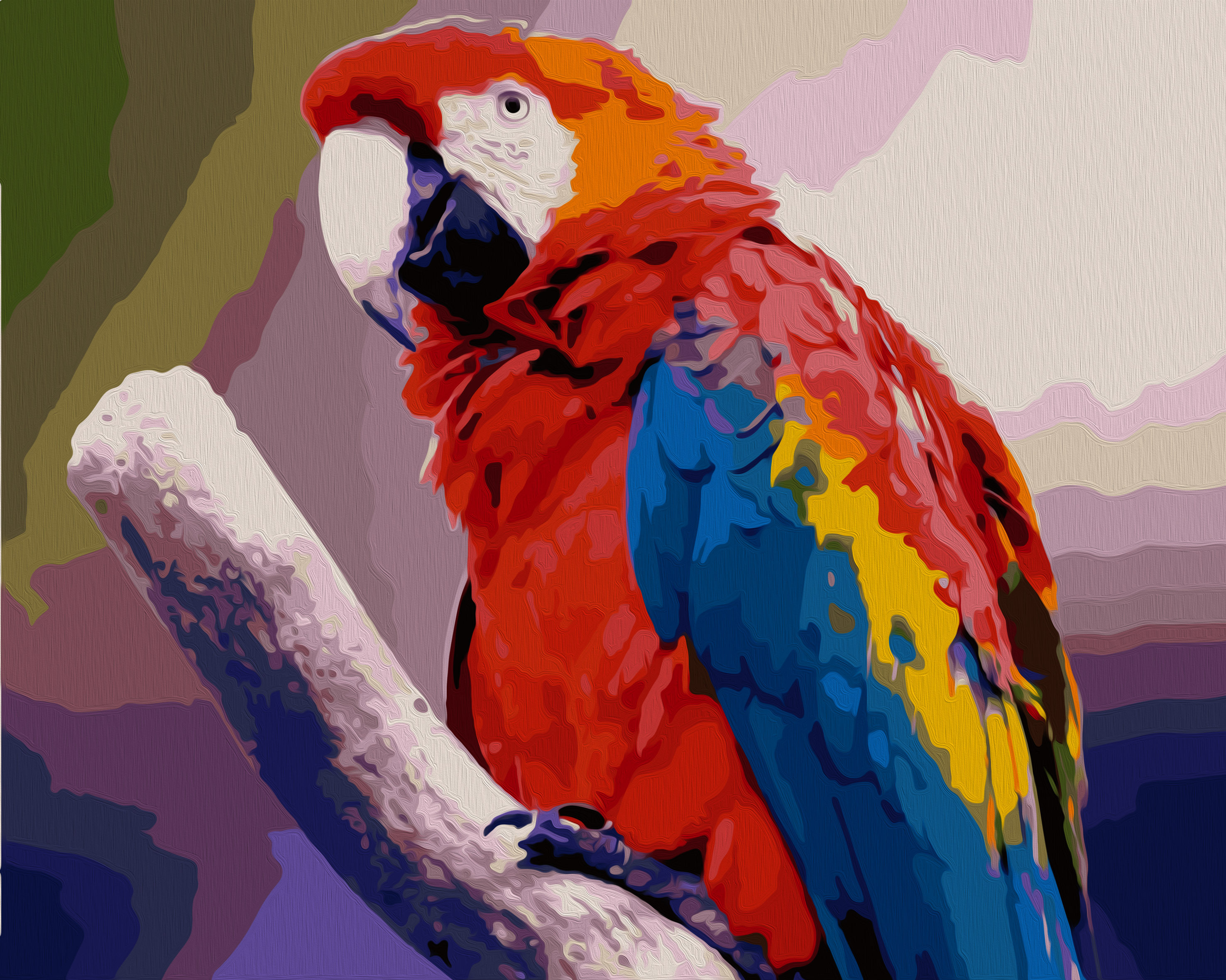 Ара макао. Показать ару попугая. Показать ару попугая. Попугай ара зеленокрылый. Попугай ара.