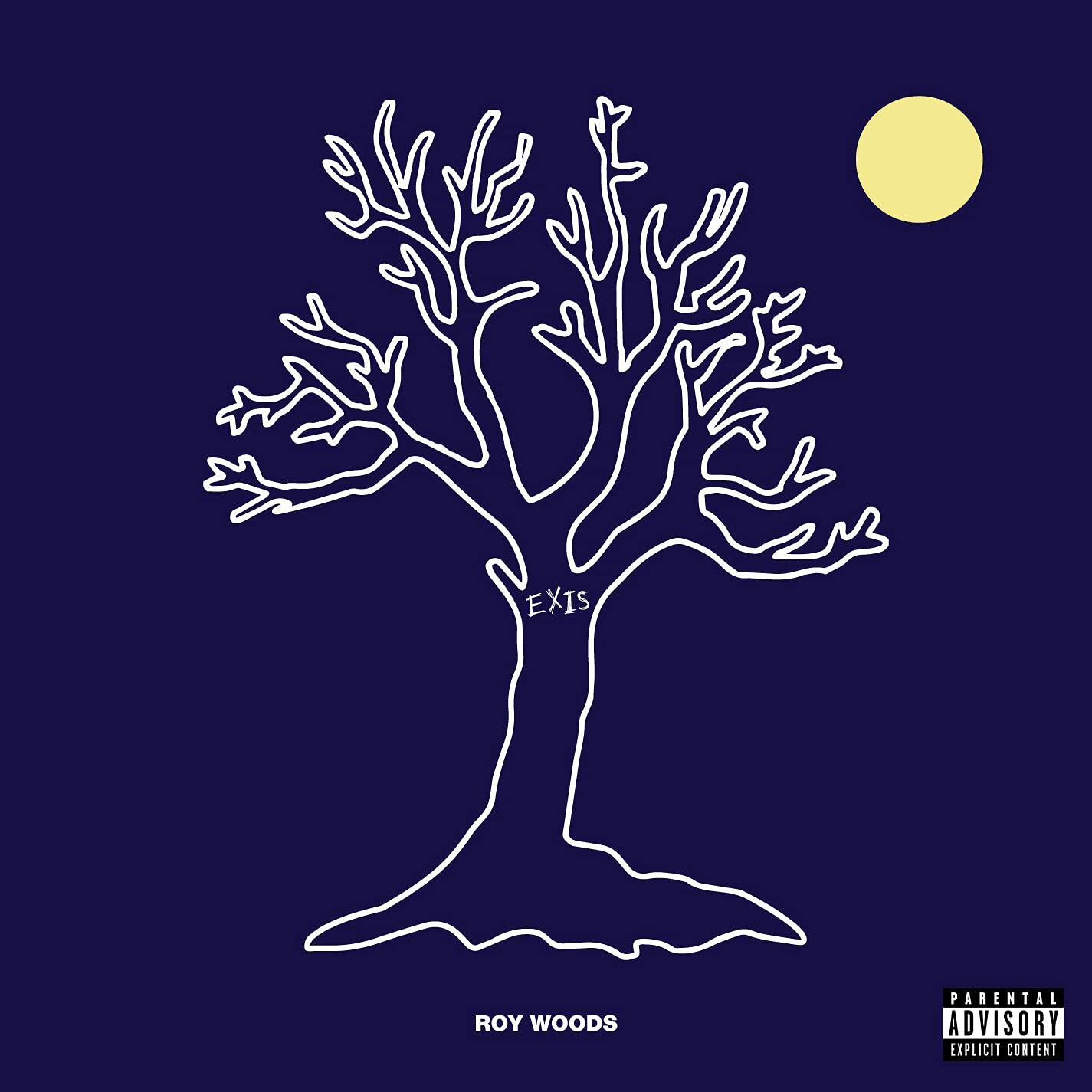 Drama drake. Woods обложка. Drama drake текст. Roy woods drama. Karma is for you roy woods, drake.