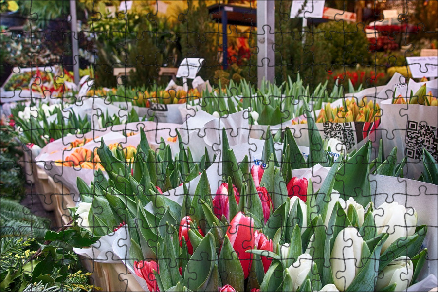 Рынок тюльпанов в Амстердаме. Амстердам тюльпаны. Фестиваль тюльпанов в Амстердаме. Голландия тюльпаны.