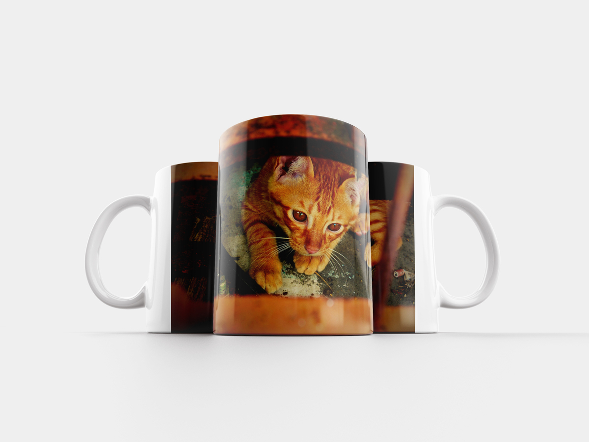 Кружка рыжий кот. Кружка с рыжим котиком. Кружки энималс кошки. Кружка стеклянная с рыжим котом. Кружка рыжий кот.