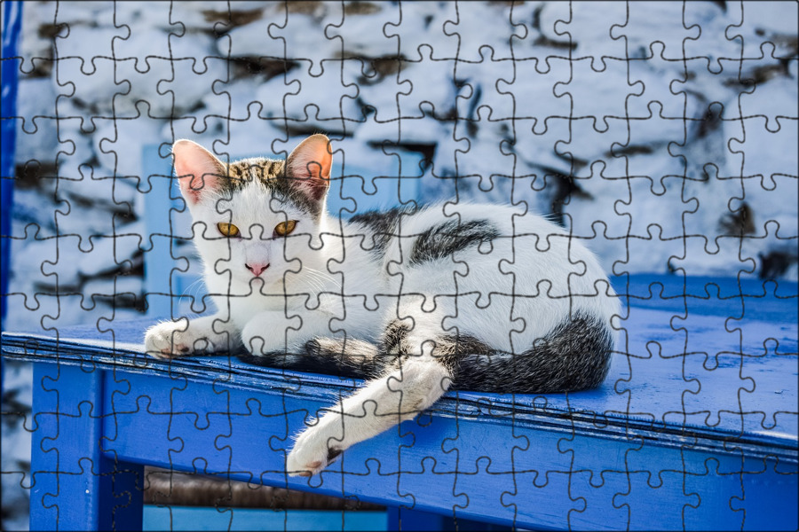 Эгейская кошка
