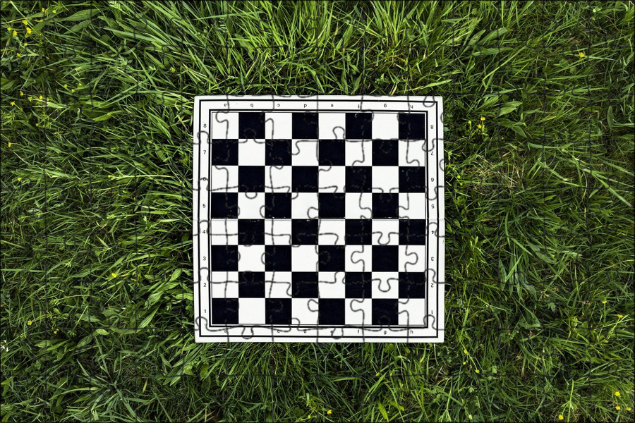 Шахматная доска 5 на 5. Шахматная доска Эдварда адельсона. Шахматное поле. Шахматная доска 2d. Живая шахматная доска.