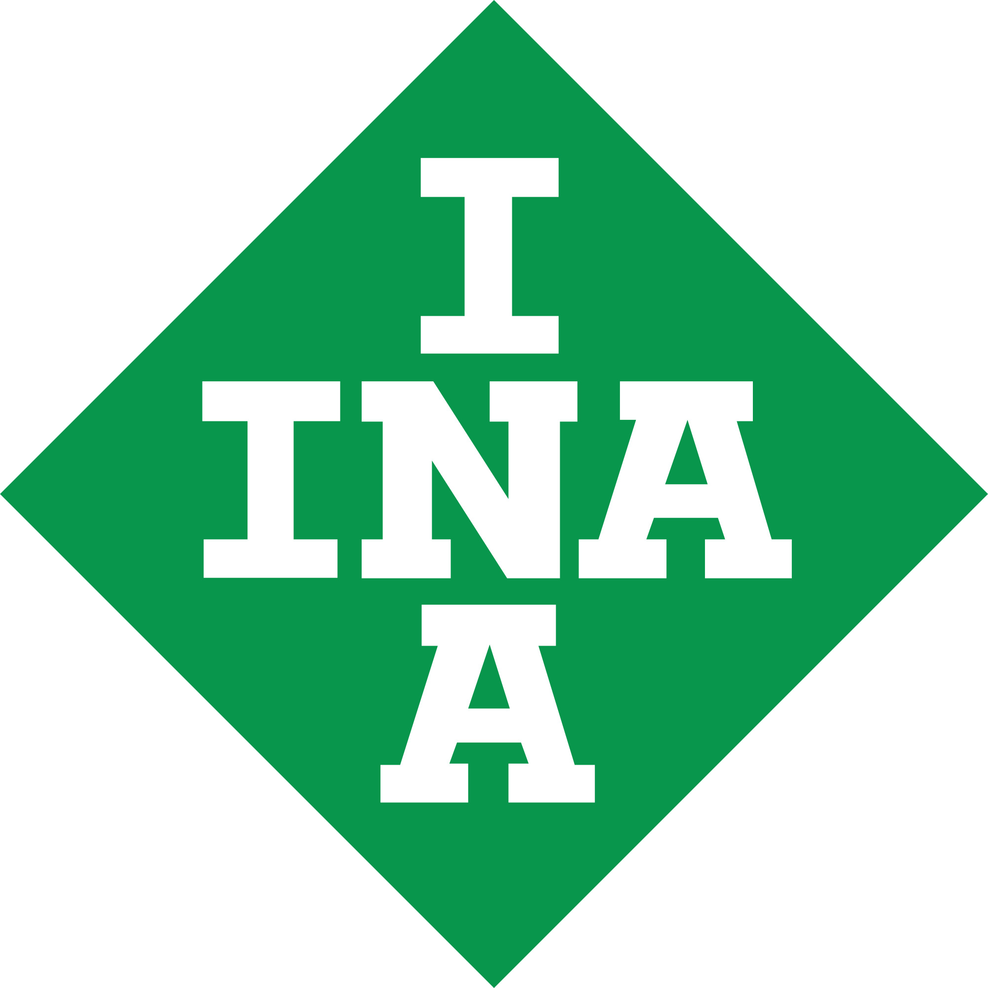 INA - купить товары бренда ИНА по выгодным ценам в официальном магазине ...