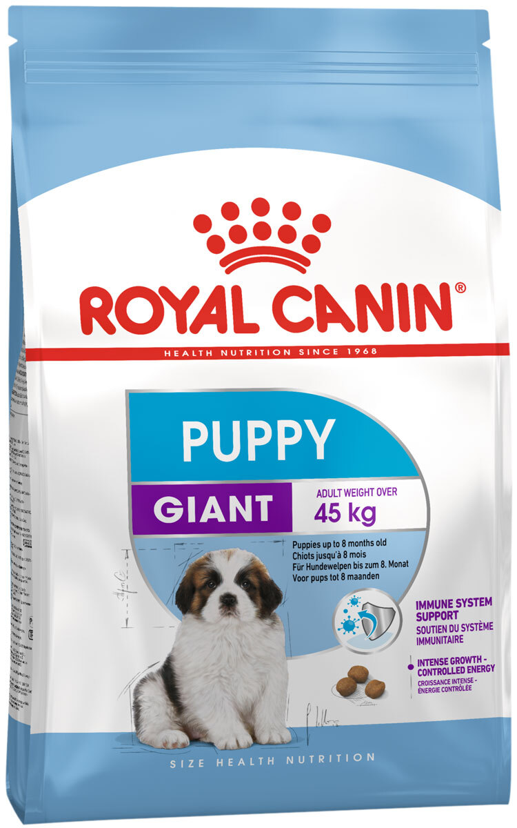 giant royal canin puppy