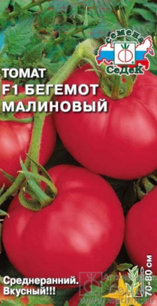 Томат малиновый тюлень. Томат Бегемот коричневый СЕДЕК. Томат Бегемот малиновый. Томат Биг Рио-88 f1. Томат Бегемот малиновый f1.