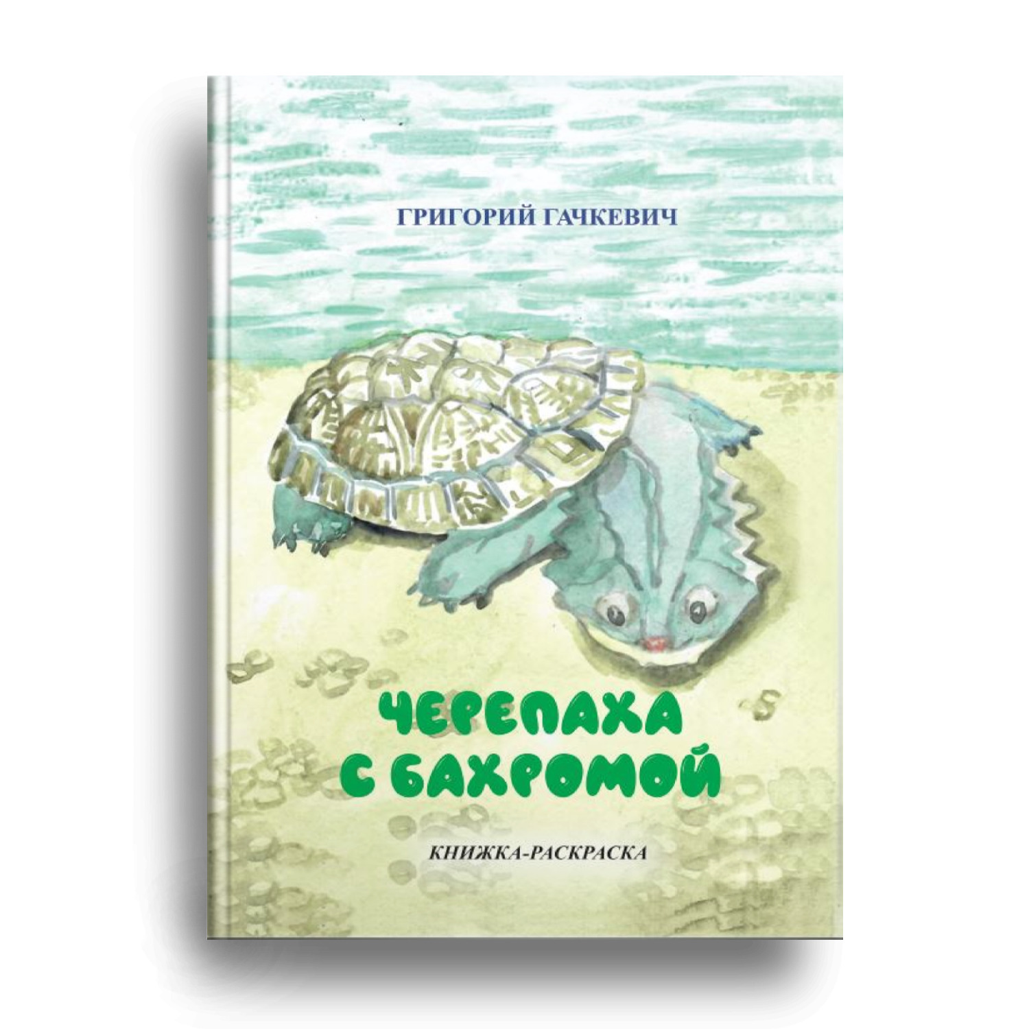 Книги черепахе. Книги о черепахах. Книги с черепахами на обложке. Быстрая черепаха книга. Путь черепах книга.