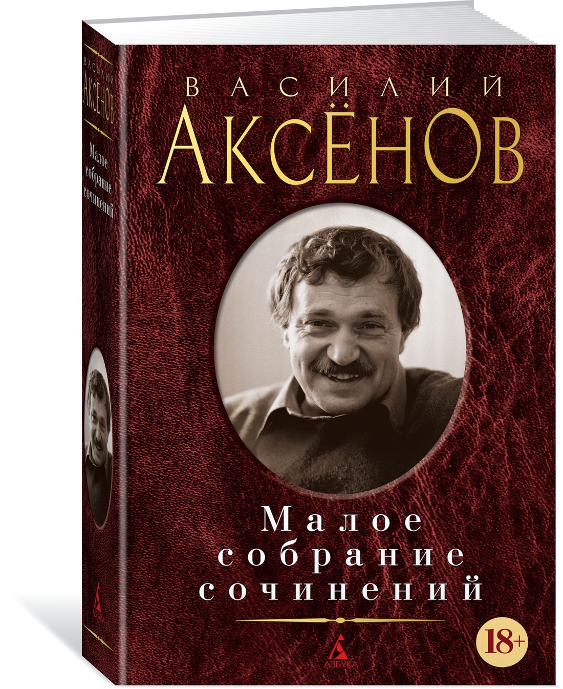 Малое собрание сочинений | Аксёнов Василий - купить с доставкой по выгодным  ценам в интернет-магазине OZON (602067472)