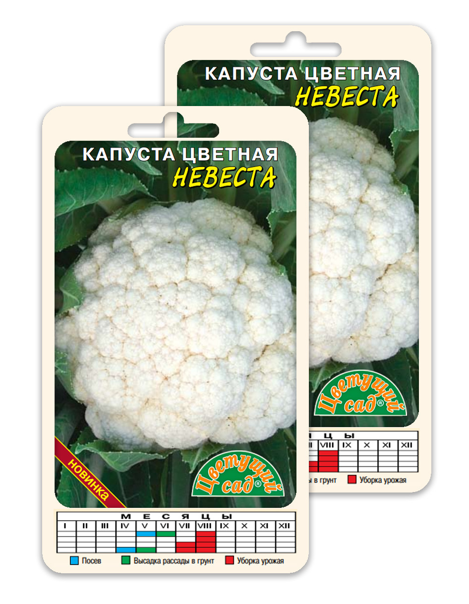 Капуста ассорти по японски. Корейская замаринованная капуста. Маринад для ассорти. Цветная капуста ассорти вилфурд армянская фирма. Ассорти с цветной капустой.