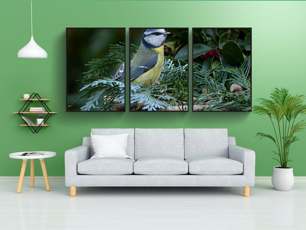 Сергей тарасов модульное оригами павлин. Модульное оригами. Модульное оригами двуглавый орел. Модульное оригами сергея тарасова павлин. Модульное оригами из бумаги.