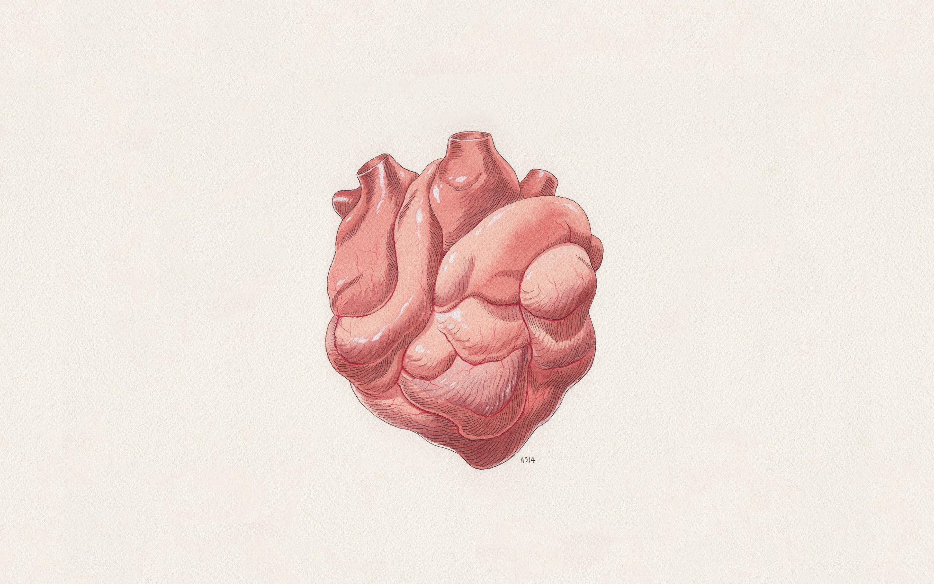 Brain 63. Анатомическое сердце Минимализм. Сердце арт. Минимализм рисунки. Картинки Минимализм.