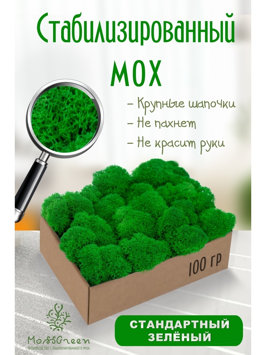 Moss Green Стабилизированный мох Мох, 100 гр