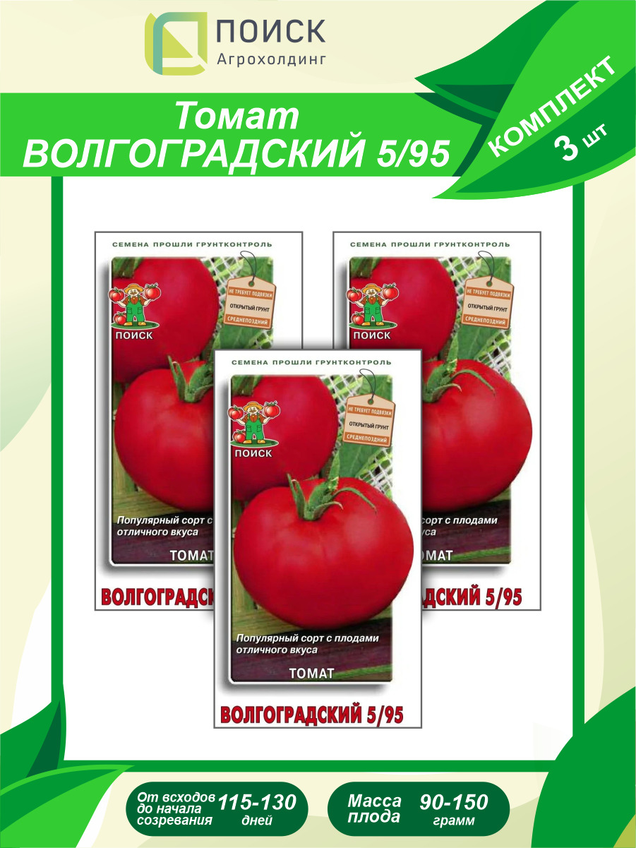 Томат волгоград. Томат сорт Волгоградский 5/95. Волгоградский 5/95 томат описание. Томат Волгоградский позднеспелый. Томат Волгоградский 595.