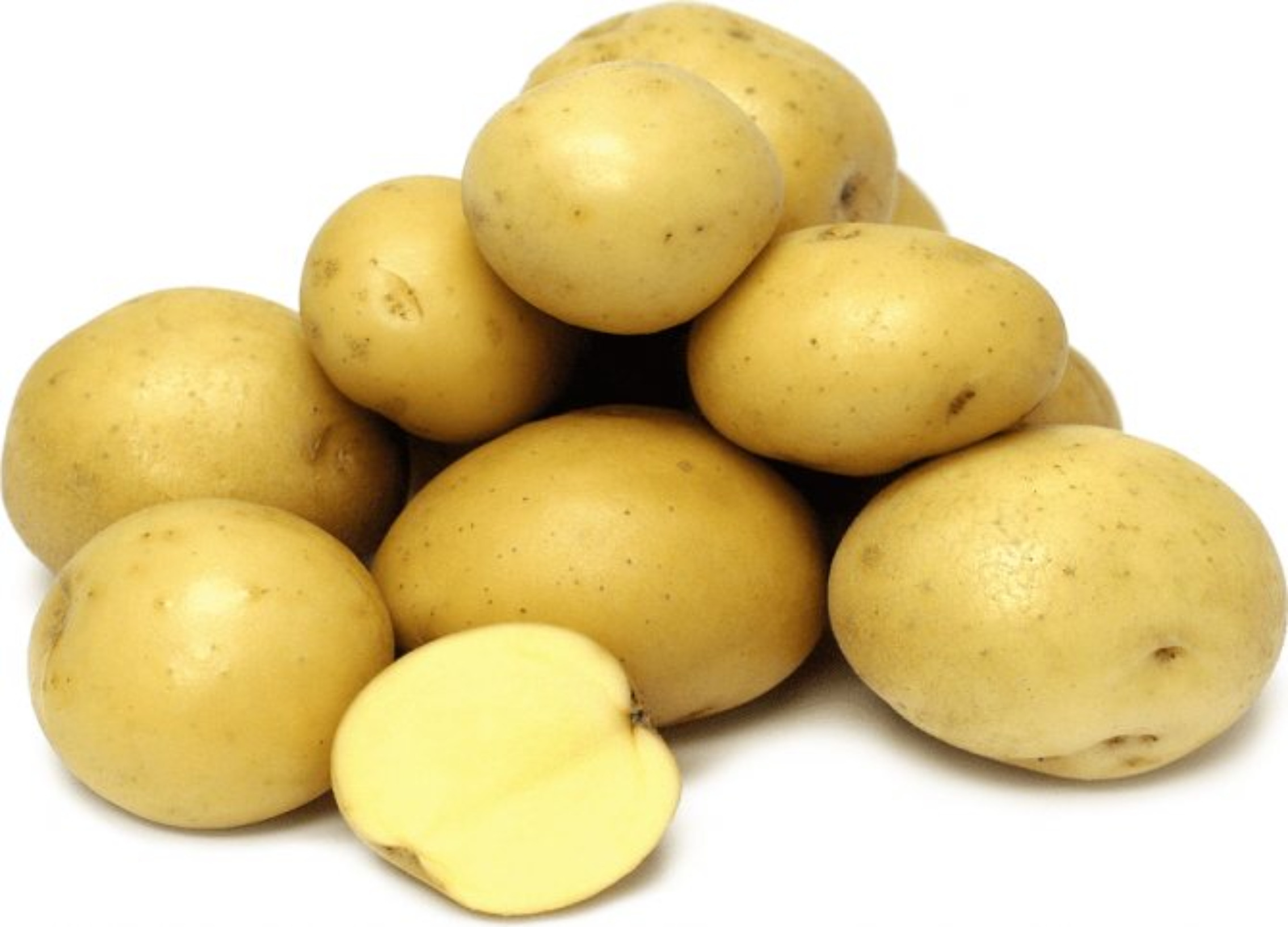 Картофель купить в новосибирске. Семенной картофель Гала. Сорт картофеля Гала. Семенная картошка сорт Гала.