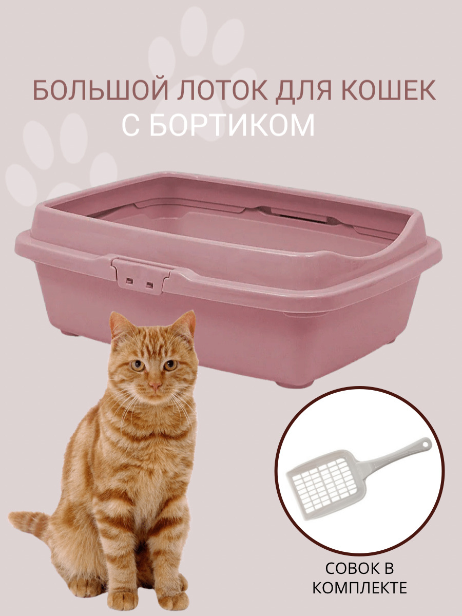 Туалет для кошек большой с бортом DD Style, кошачий туалет, лоток для кошек  с совком, пепельно-розовый - купить с доставкой по выгодным ценам в  интернет-магазине OZON (388239218)