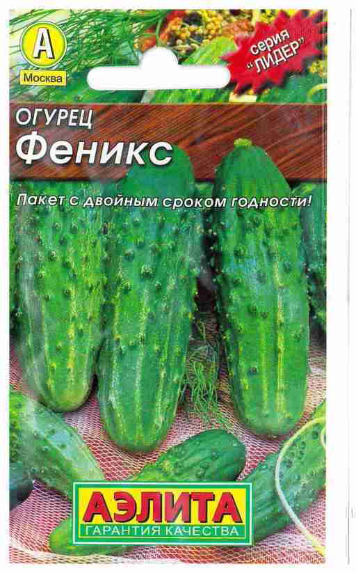 Огурцы сорта феникс. Огурец Феникс семена. Огурец Феникс семена Алтая. Огурцы Феникс описание сорта фото отзывы.