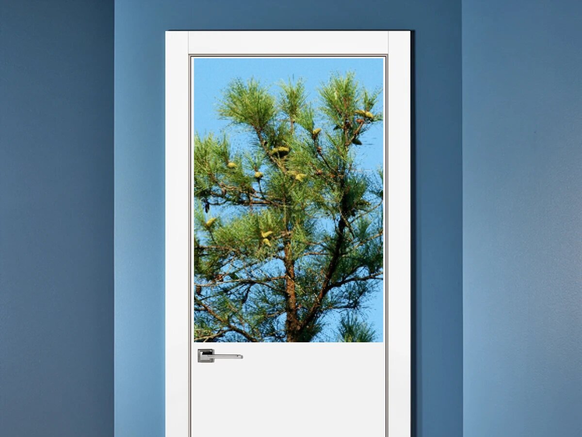 постер сосны. постеры в скандинавском стиле. постер сосна. плакат сосна. постер сосна.