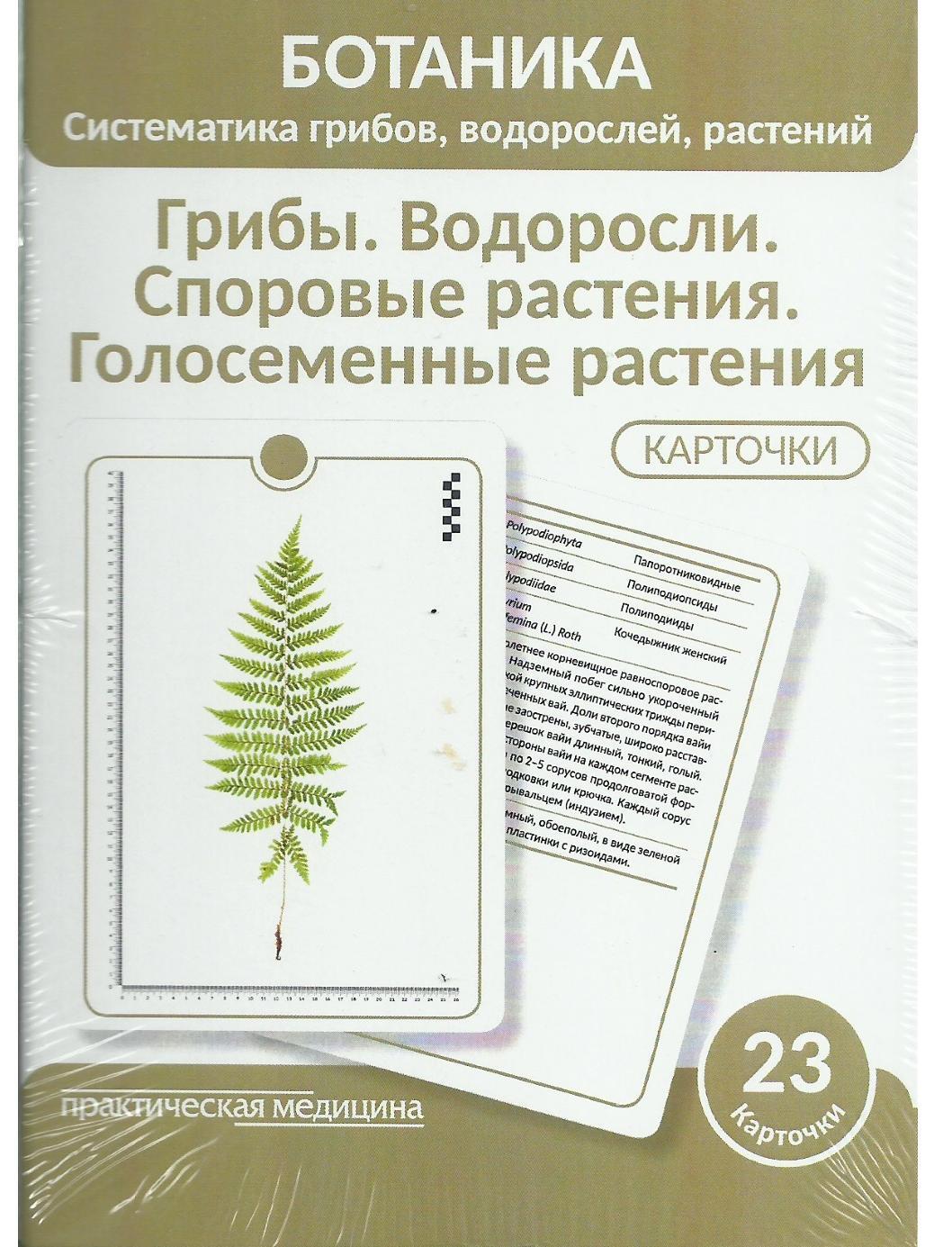 Психотропные Грибы купить на OZON по низкой цене в Армении, Ереване