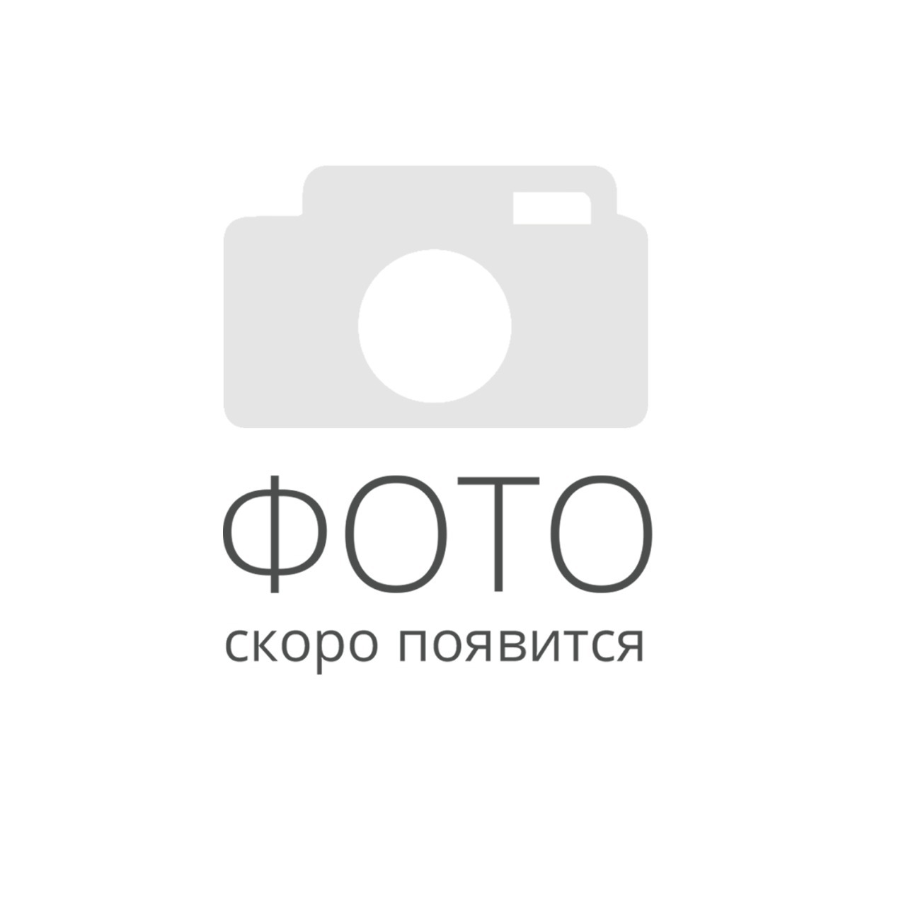 Фотография скоро появится