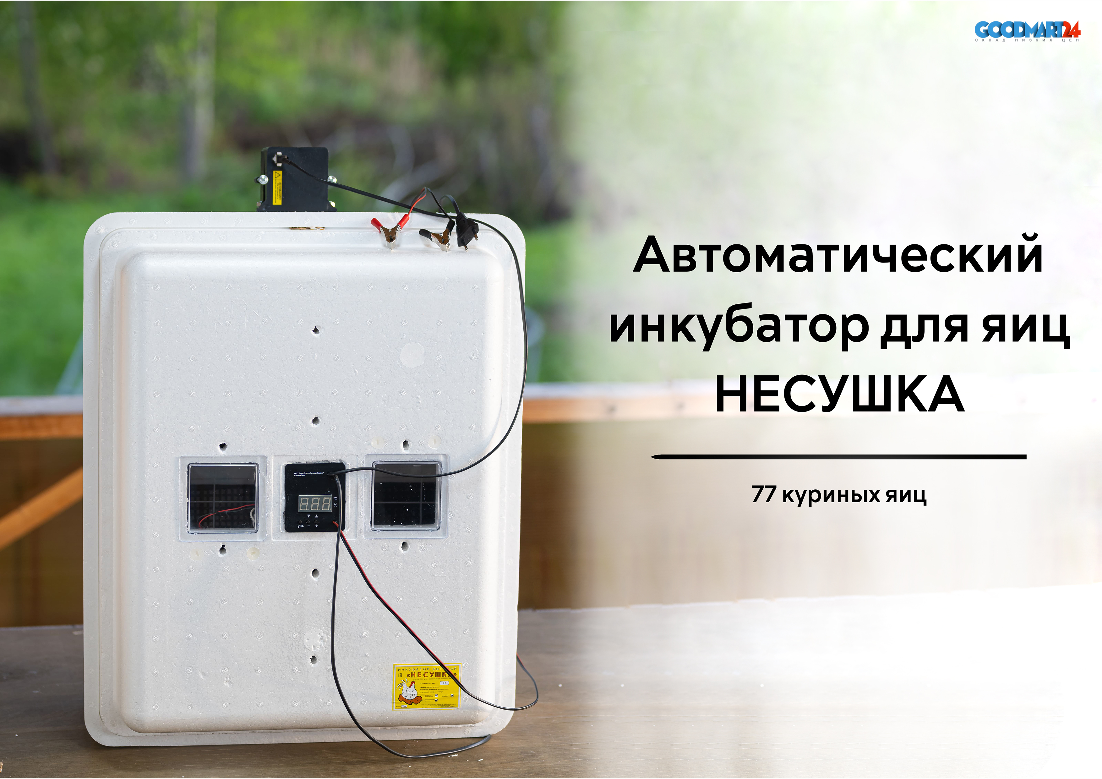 Инкубатор 220 12в. Инкубатор Несушка 77. Инкубатор Несушка 104 автоматический. Инкубатор Несушка 77 автомат. Инкубатор - Несушка, 77яиц 220/12в.