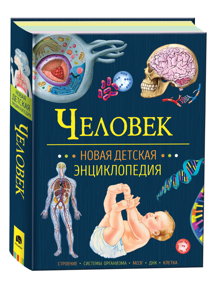 Человек. Новая детская энциклопедия. Энциклопедия школьника | Клюшник Лариса Владимировна