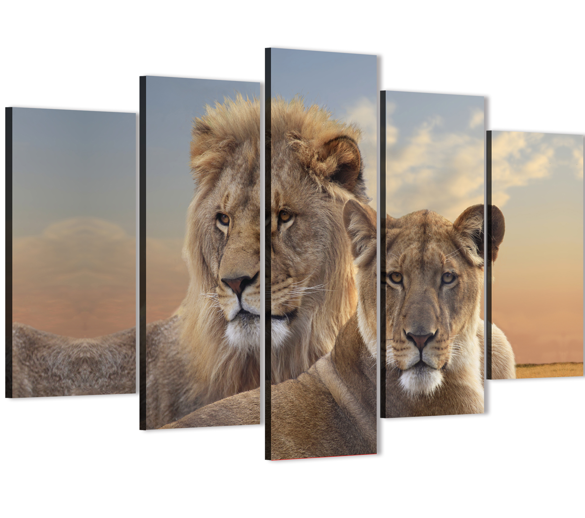 Картины со львом для интерьера