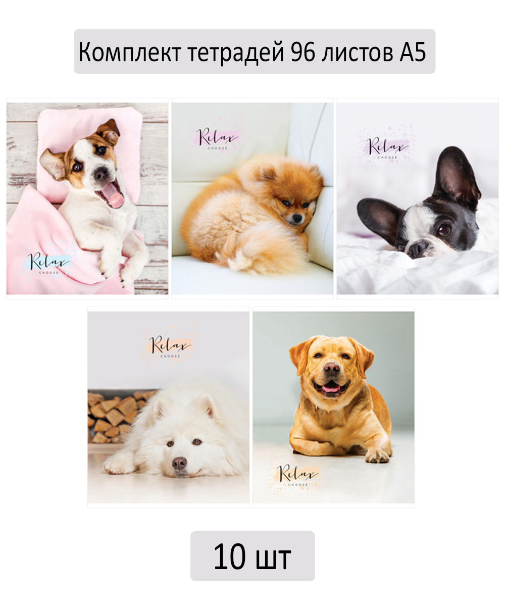 Тетрадь питомцы. 10 Pets.