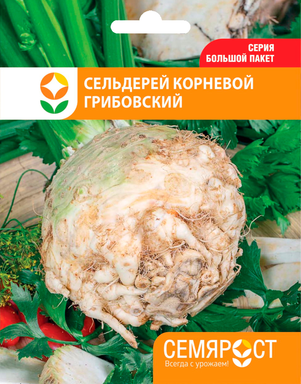 Корень Сельдерея Купить В Аптеке