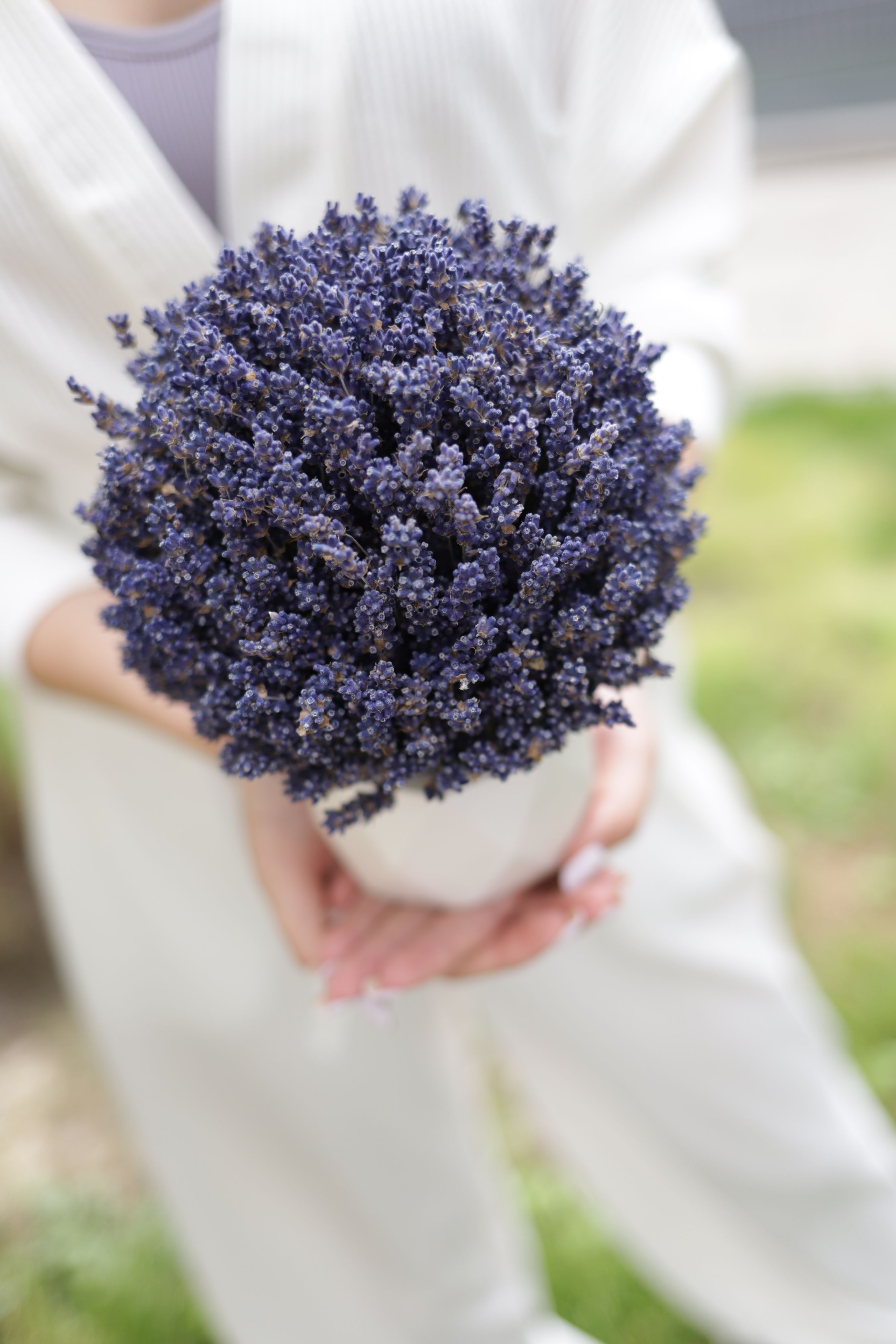 Лавандовый Замок фото 13