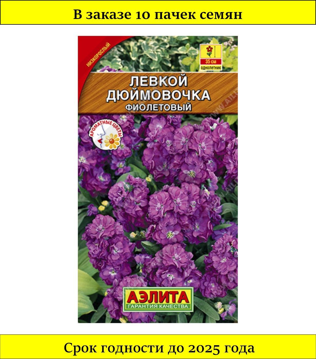 левкой махровый. левкой дюймовочка. левкой карликовый дюймовочка. левкой маммут. левкой седой.