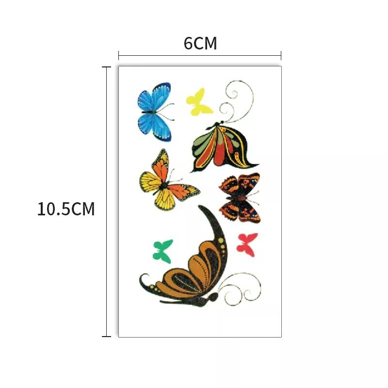 Самец бабочки. Букет из резных декоративных бабочек. Размеры бабочек. Организм бабочки. Бабочка зорька описание.