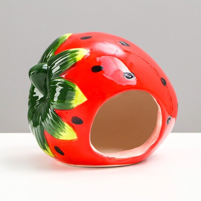 Керамический домик для грызунов. Домик для грызунов керамика. Домик керамический мышка триол. Домик трикси 43458. Домик для грызунов керамикарт тыква 13х13х10 см.