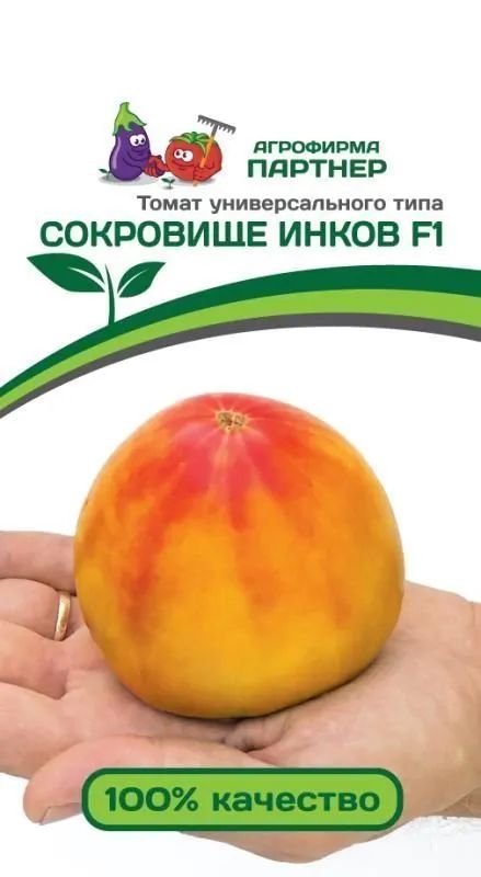 Томат сокровище отзывы фото
