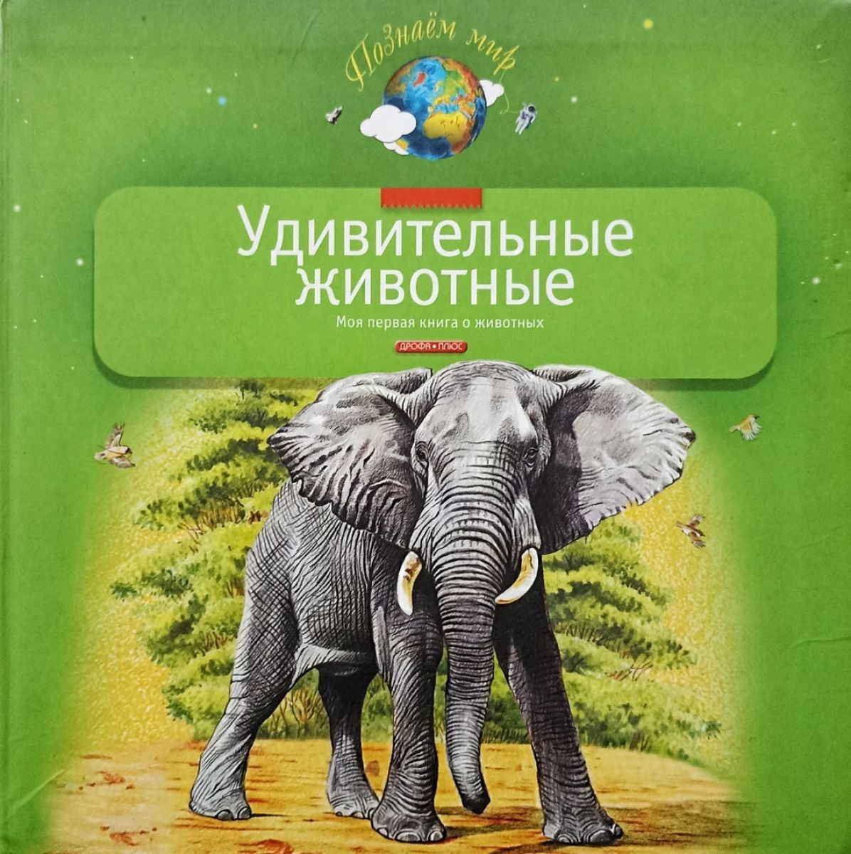 Книга самые самые животные. Удивительные животные Тихонов Александр. Мои первые книжки. Удивительные животные. Удивительный животный мир в картинках. Книга. Удивительные животные:моя первая книга о животных.