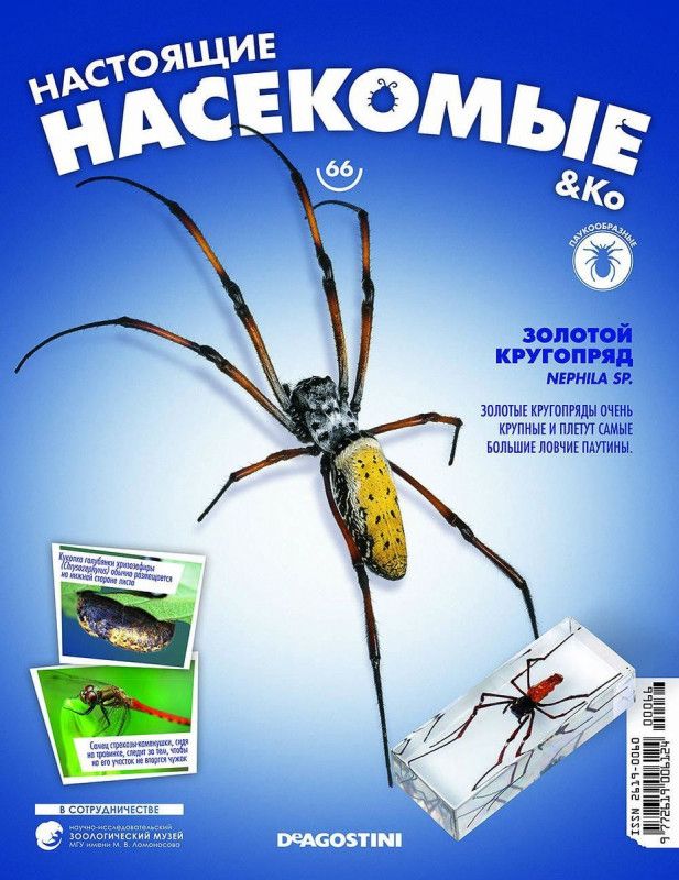 Журналы деагостини насекомые. Деагостини насекомые и их знакомые коллекция. Коллекция насекомых деагостини. Настоящие насекомые. Настоящие насекомые.
