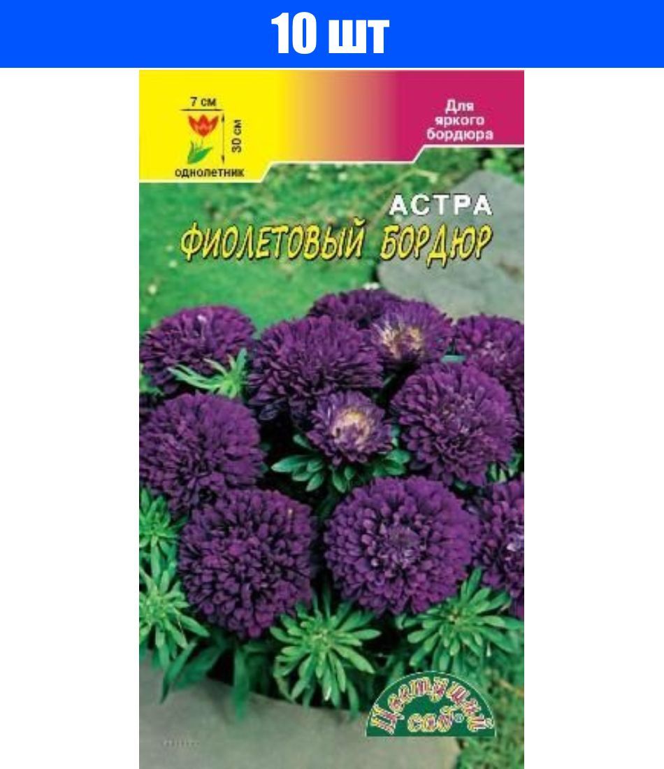 Бархатцы Синие Купить Семена