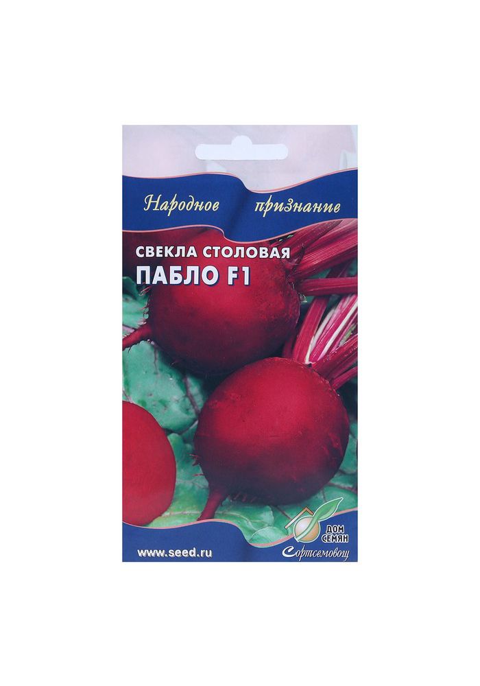 Пабло f1. Свекла Пабло f1. Семена свеклы Пабло. Свёкла Пабло f1 описание. Свекла Пабло Каприс.