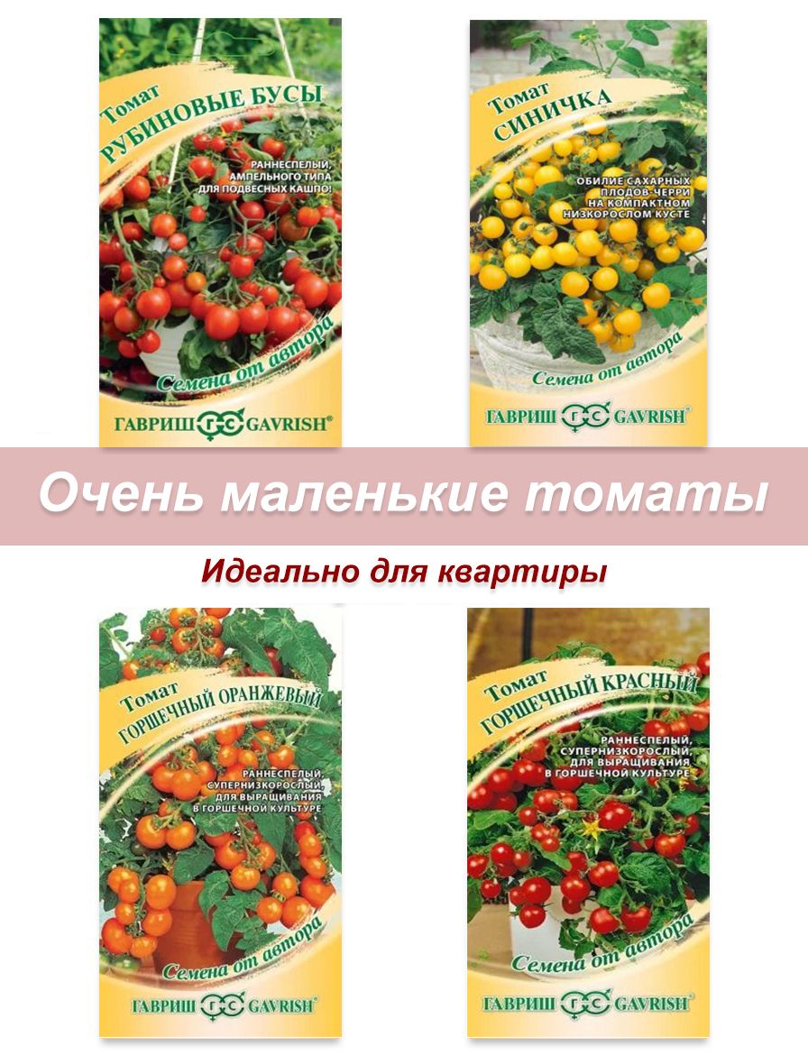 томат из семян выращивание томат из семян выращивание