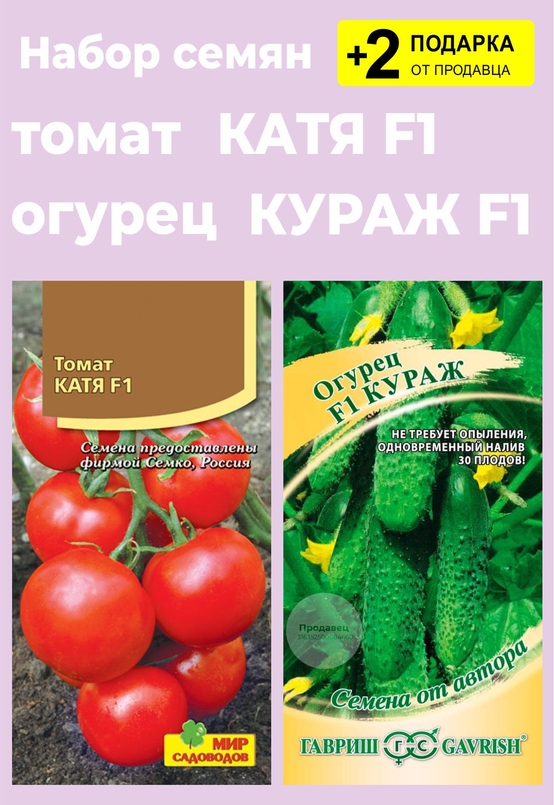 Семена томатов катя. Томат Катя семена. Семена помидор Катя f1. Томат Катя f1. Семена огурец Кураж f1.