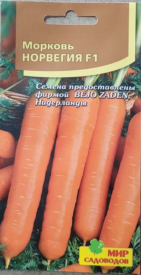Морковь норвегия