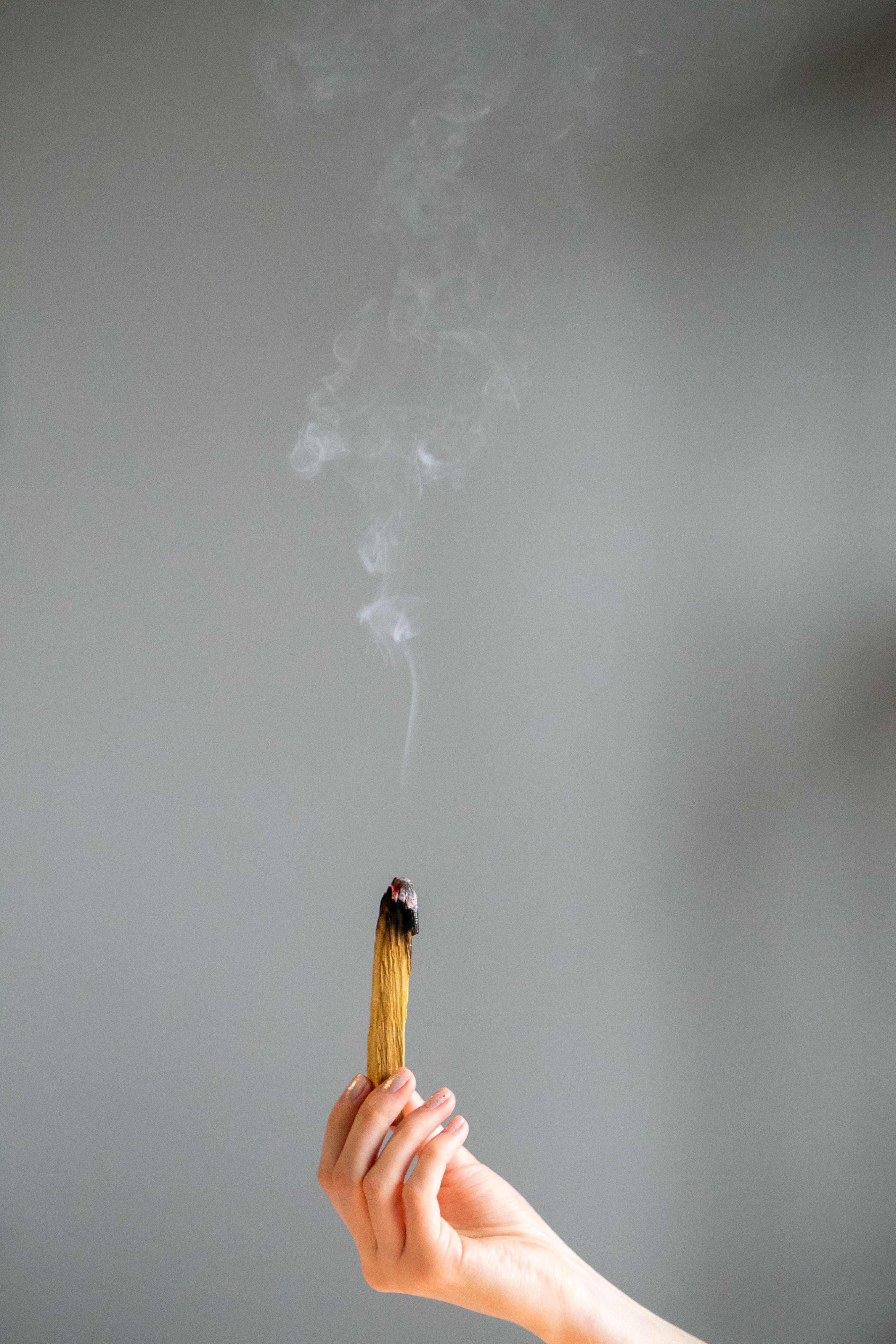 Пал пал войти. Пало Санто палочки дымят. Пало Санто горение. Фото дыма от Пало Санто. Колечко Пало Санто.