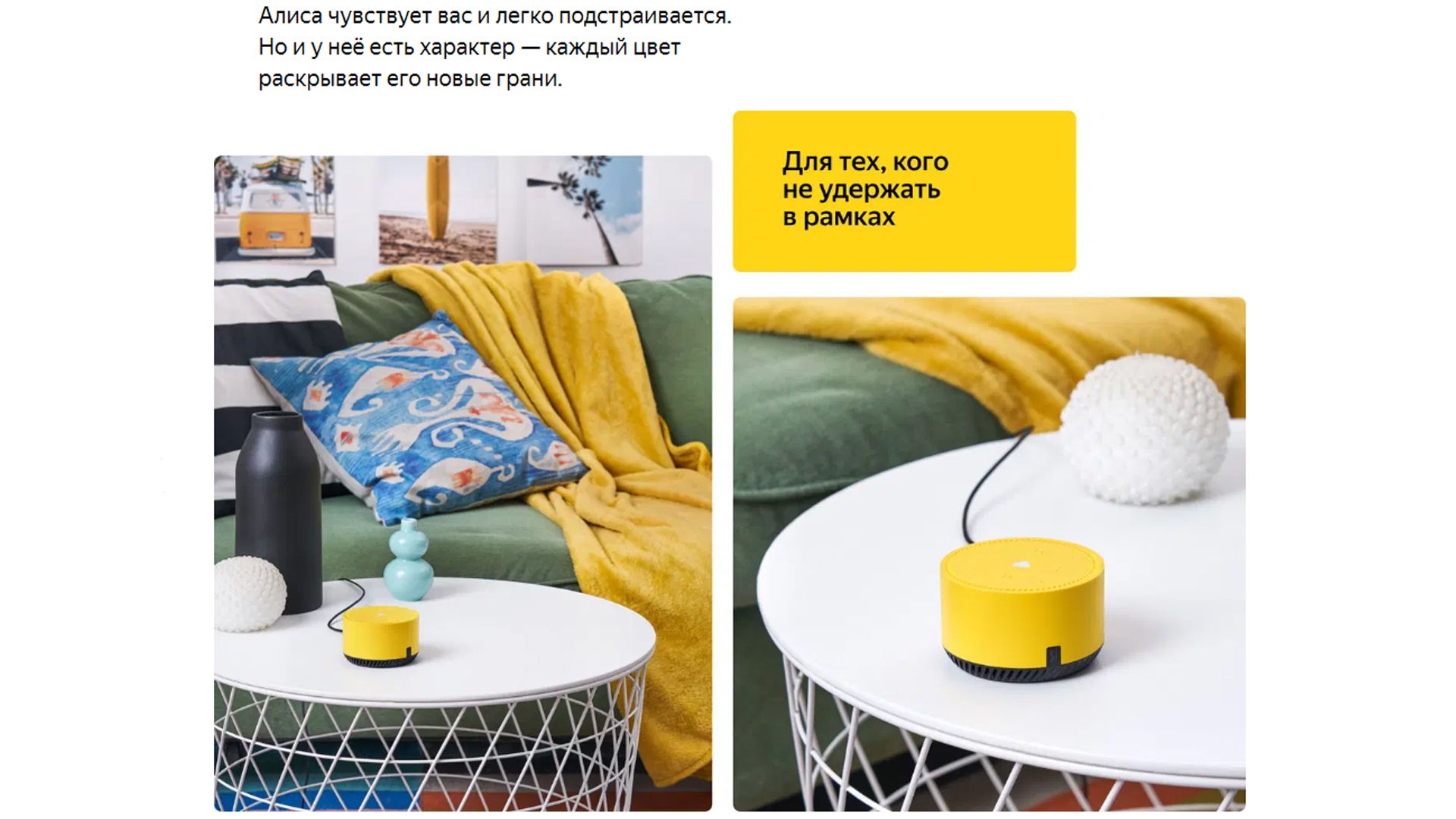 Текстовое описание изображения