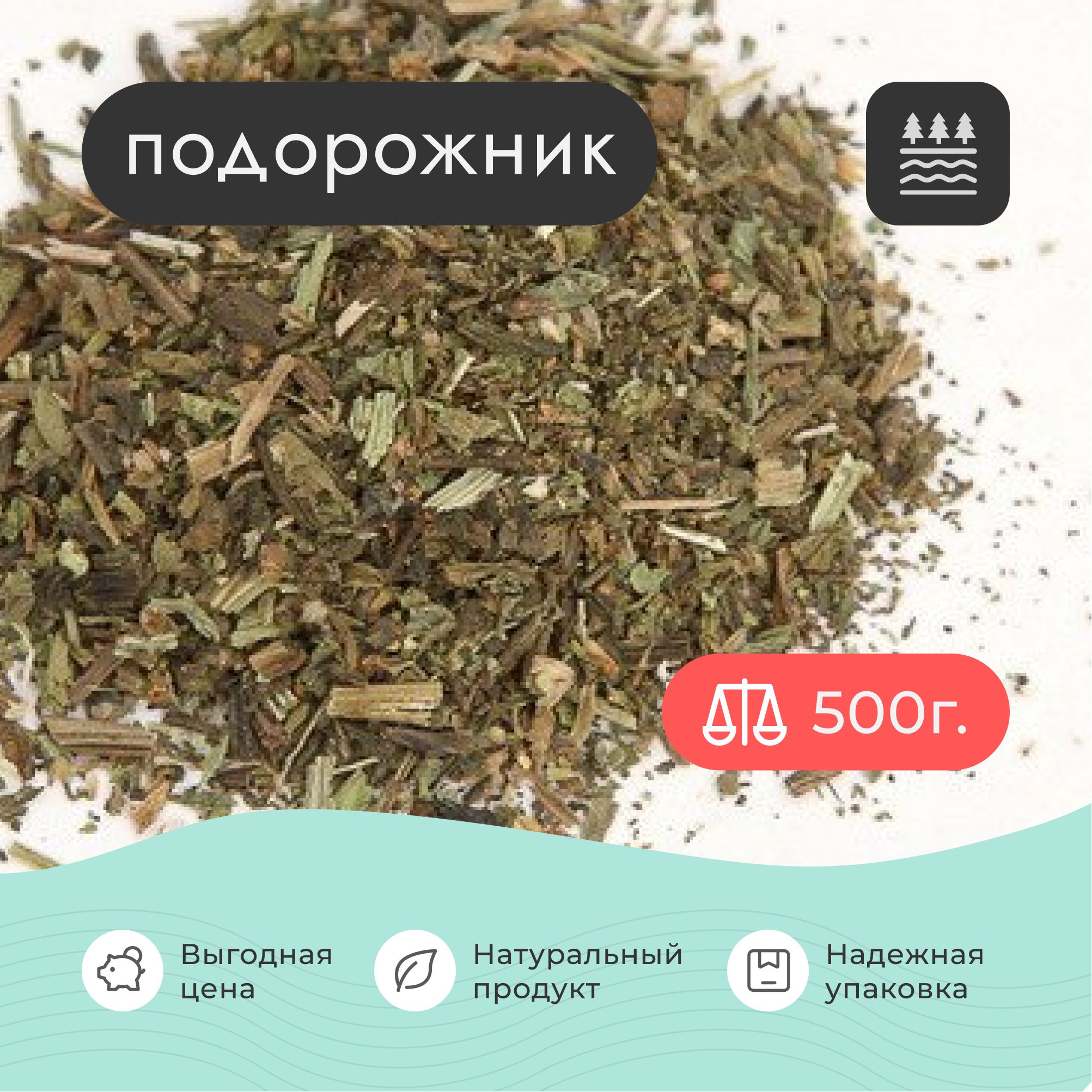 Подорожник сушеный , 500 грамм / Для чая / Для отвара / Для настойки / Для  бани - купить с доставкой по выгодным ценам в интернет-магазине OZON  (778763752)