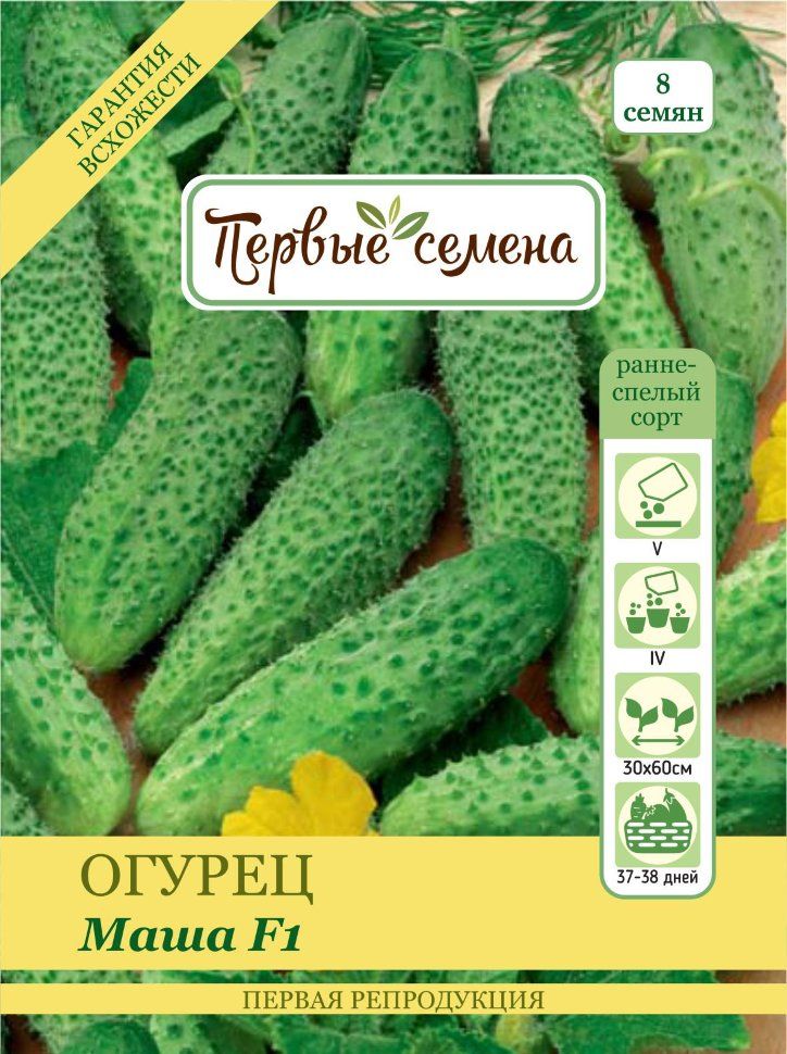Сорт огурцов маша описание и фото Первые семена 022979-1Семена - купить по выгодным ценам в интернет-магазине OZON