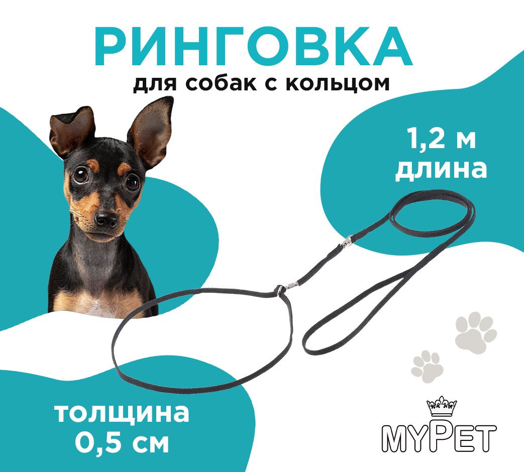 myPet Ринговка для собак с кольцом, ошейник для выставок, поводок для дрессировки, цвет черный