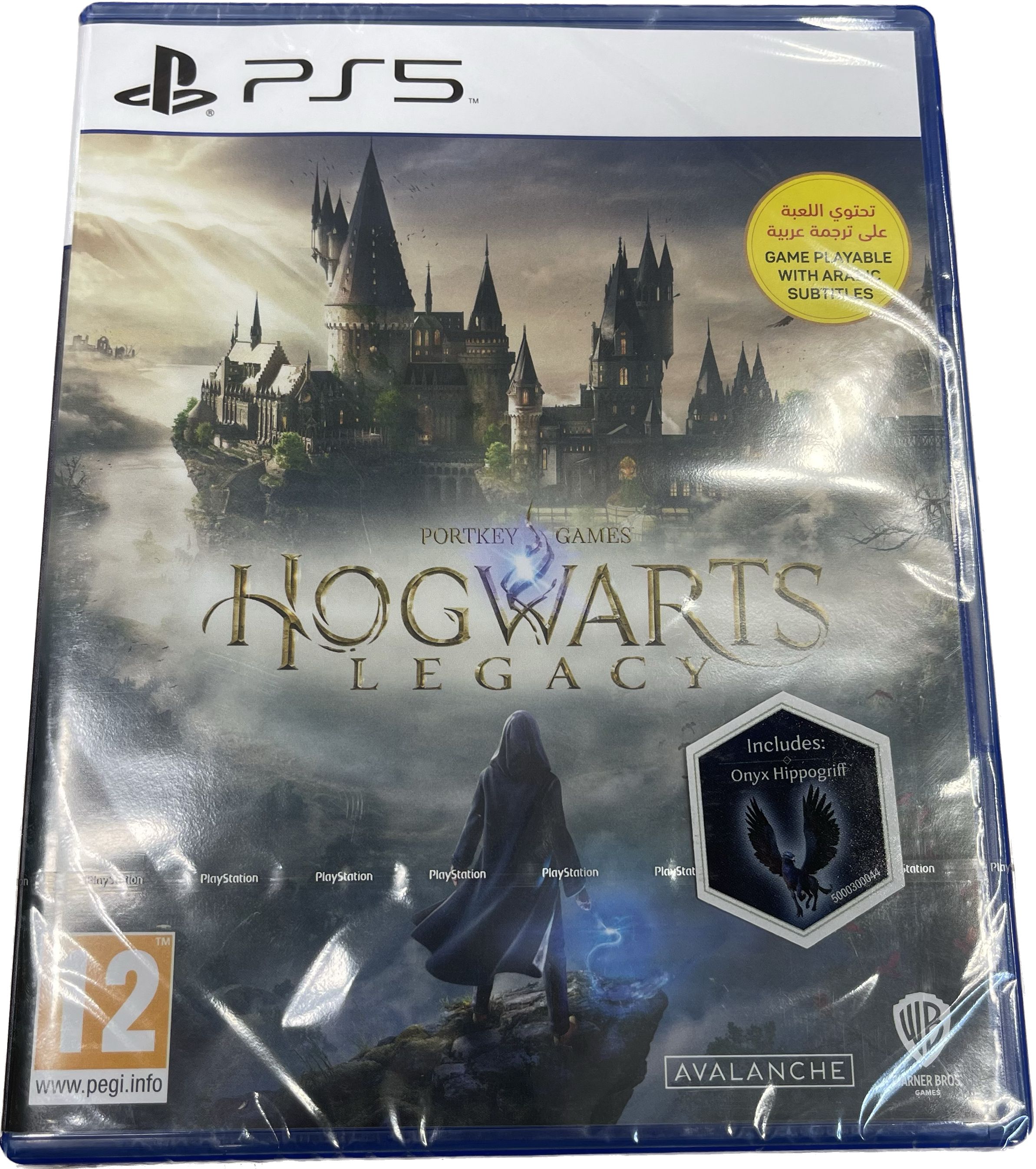 Hogwarts legacy ps5 диск фото 11