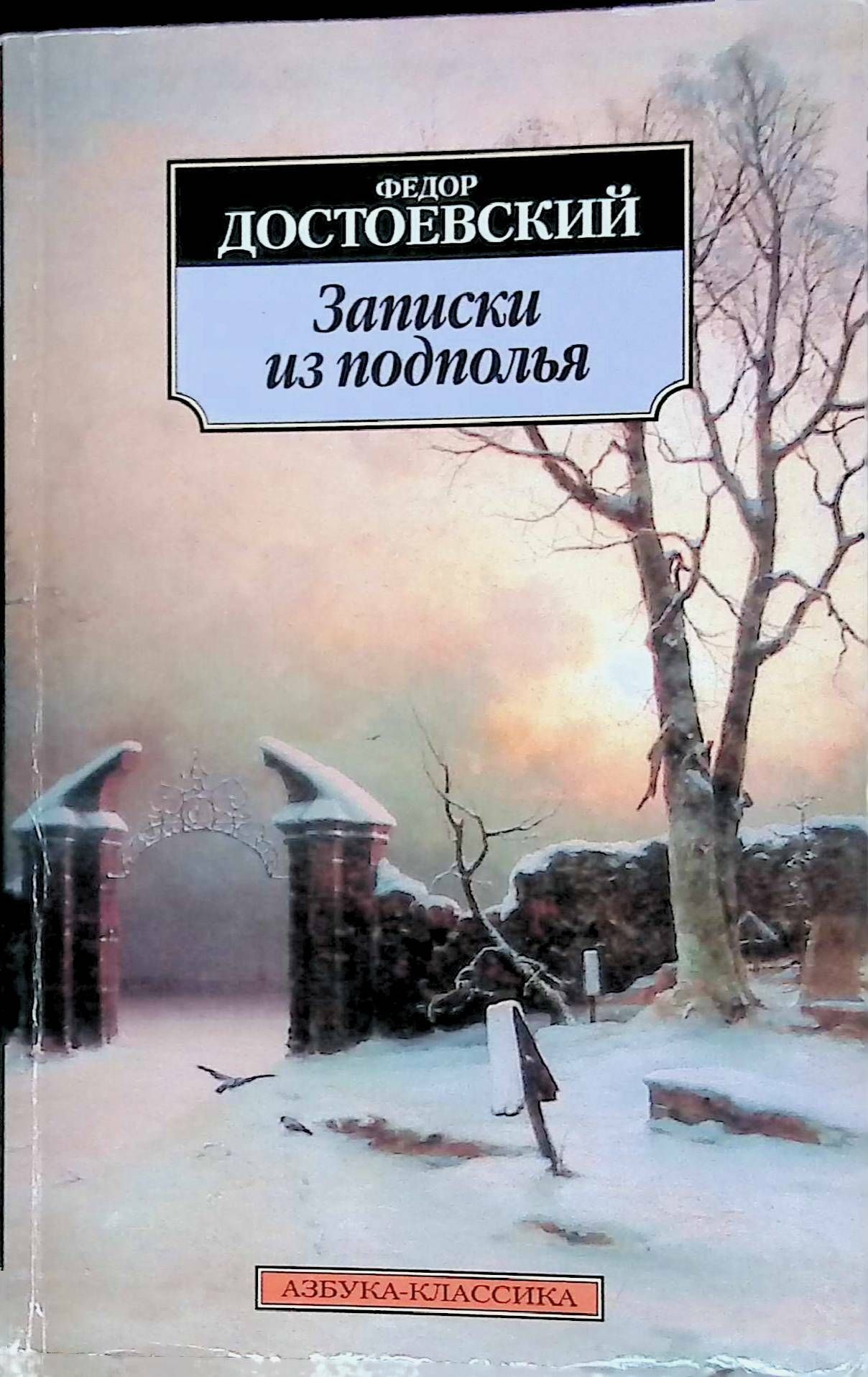 Записки из подполья. Федор Михайлович Достоевский Записки из подполья. Федора Михайловича Достоевского Записки из подполья. Записки из подполья фёдор Михайлович Достоевский книга. Достоевский Записки из подполья обложка.