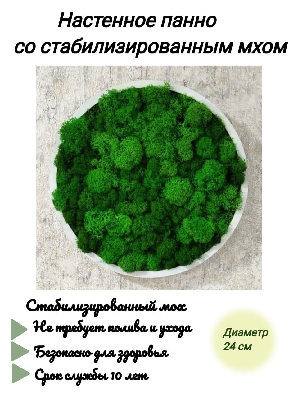 Украшение настенное интерьерное Круглое настенное панно со  стабилизированным мхом - купить по доступным ценам в интернет-магазине OZON  (872570537)