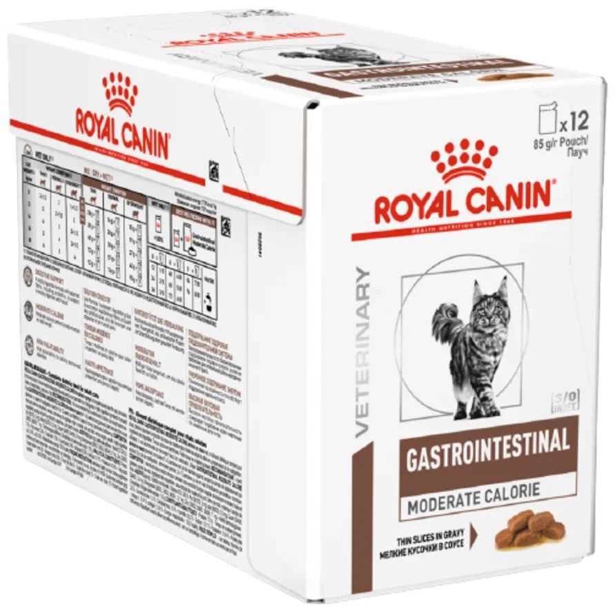 Gastrointestinal корм для кошек купить. Роял Канин гастро Интестинал для кошек. Гастро корм Роял Канин гастро Интестинал для кошек. Gastrointestinal для кошек Royal Canin паучи. Корм для кошек Royal Canin Gastro intestinal.